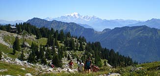 la combe de la sambuy