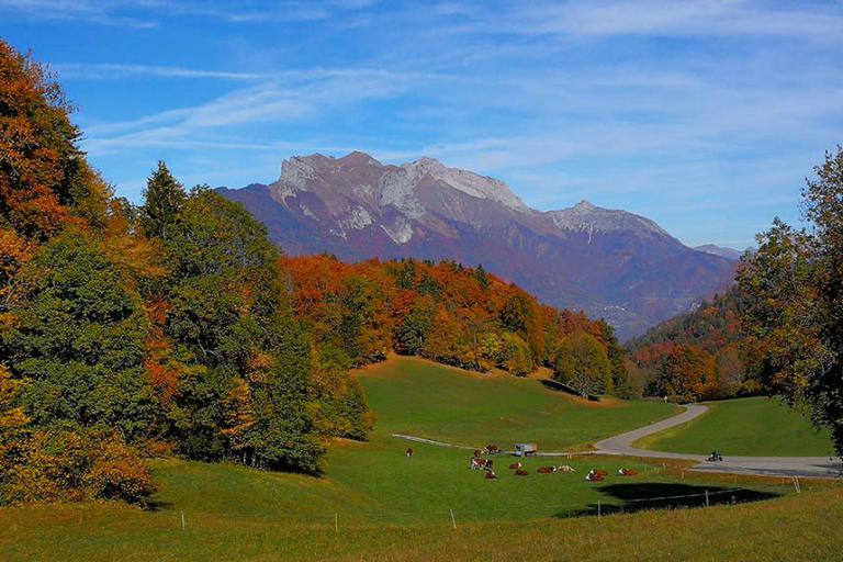 Val de Tamié en automne