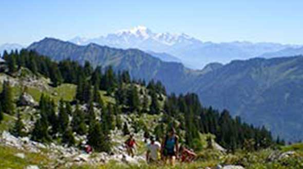Le Combe de Sambuy