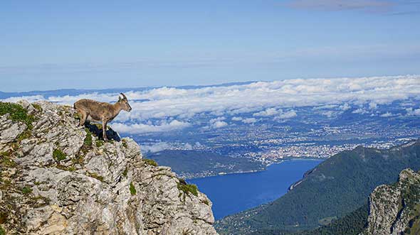 la tournette randonnées lac annecy