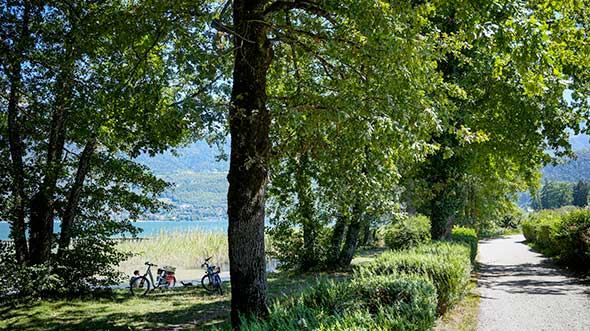 le sentier des Roselières randonnées annecy